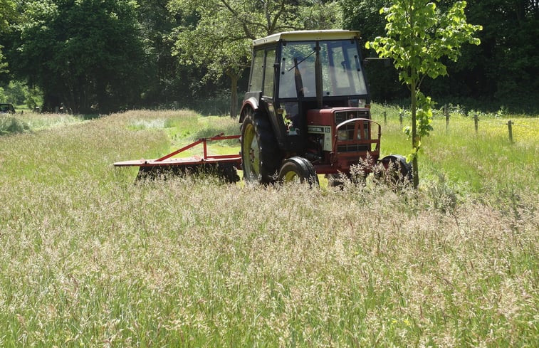 Natuurhuisje in Varssel - Hengelo Gld