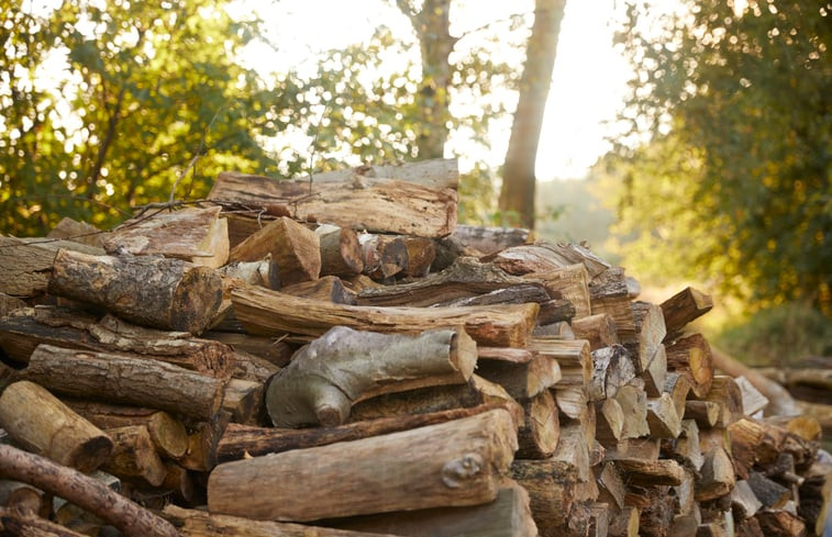 Natuurhuisje in Siegerswoude