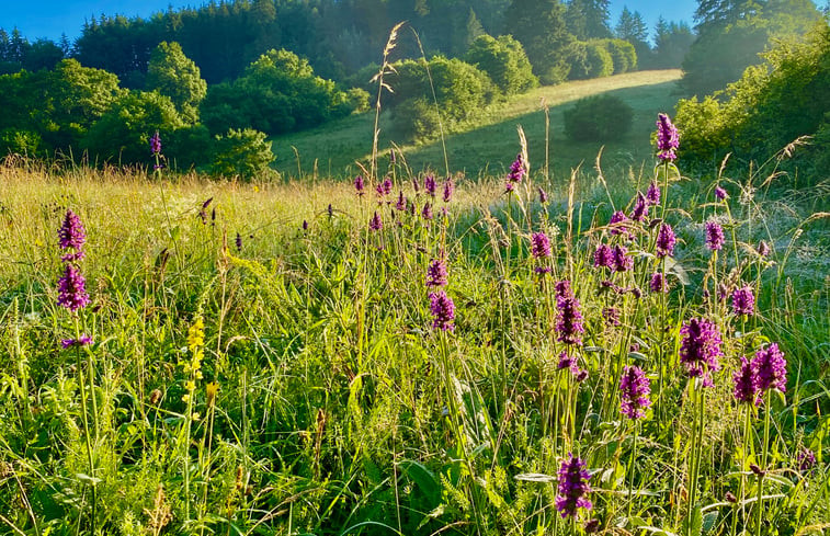 Natuurhuisje in Horna Lehota