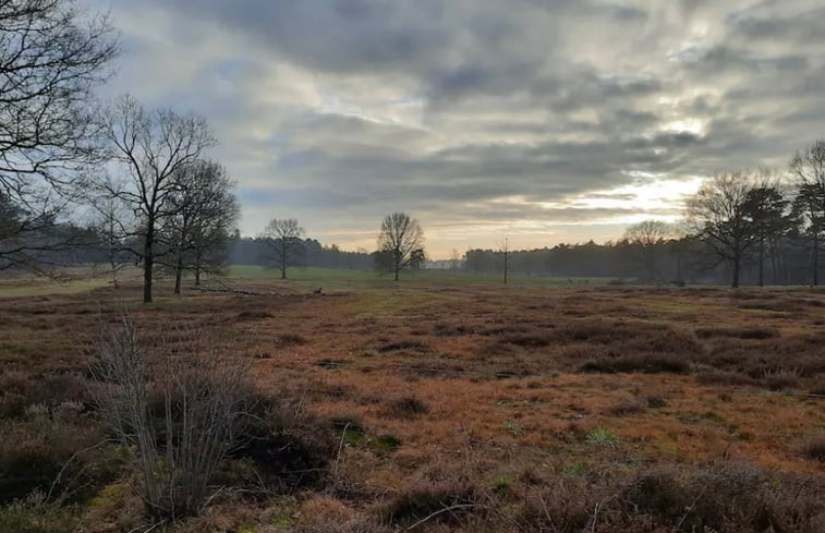 Natuurhuisje in Hattemerbroek