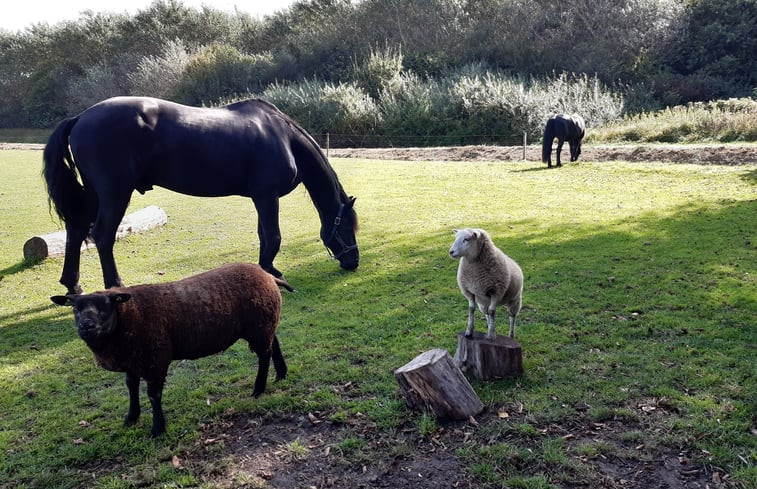 Natuurhuisje in Lisserbroek