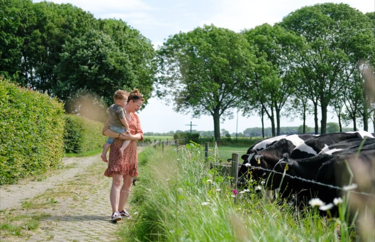 Natuurhuisje in Steenderen