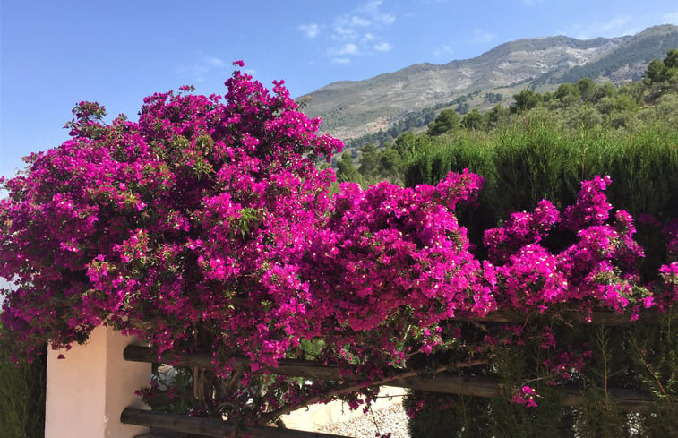 Natuurhuisje in Canillas de Aceituno