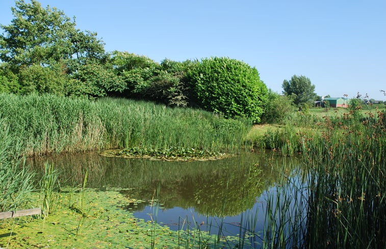 Natuurhuisje in Watou