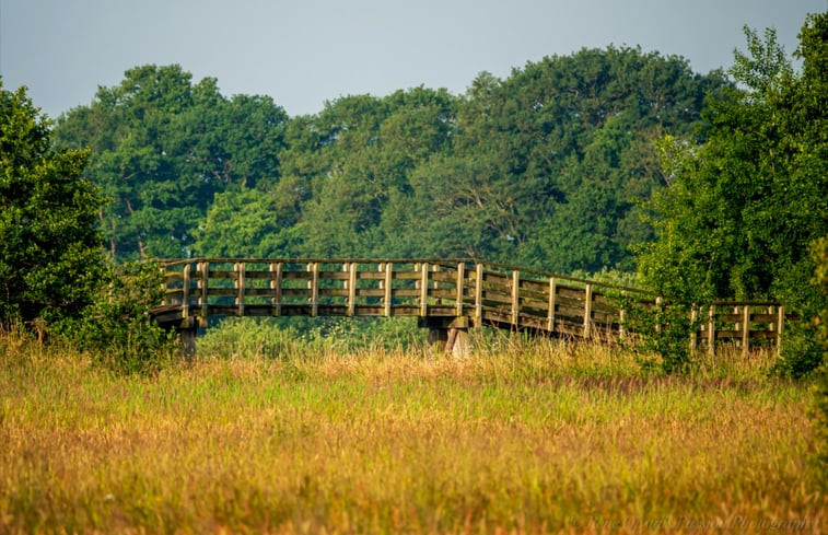 Natuurhuisje in Wedde