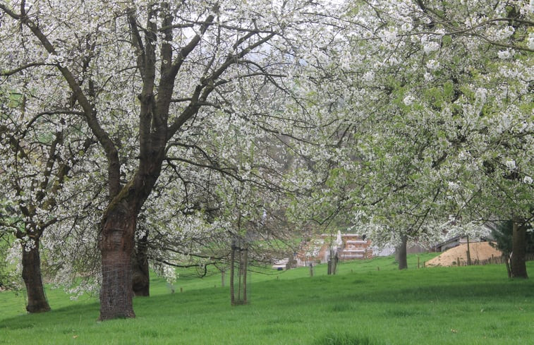 Natuurhuisje in Vijlen