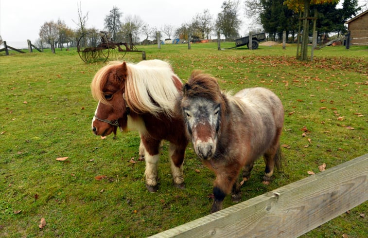 Natuurhuisje in hOMBOURG