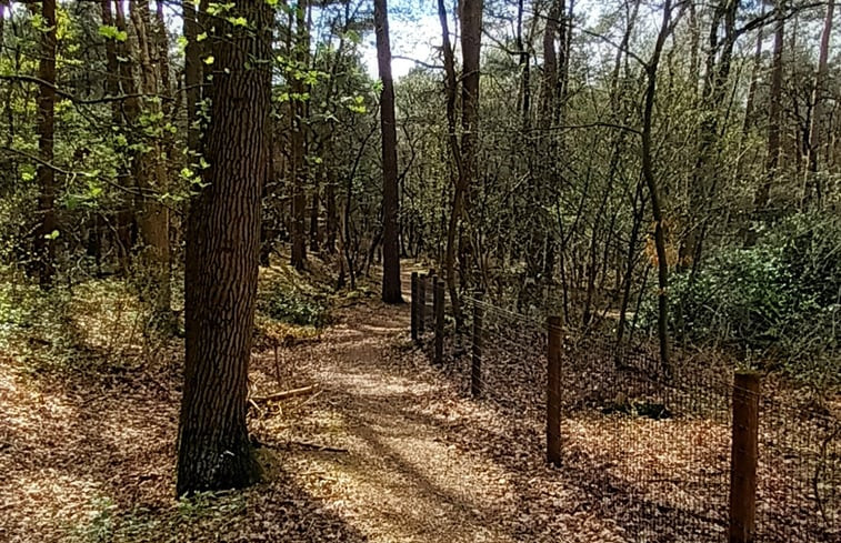 Natuurhuisje in Holten