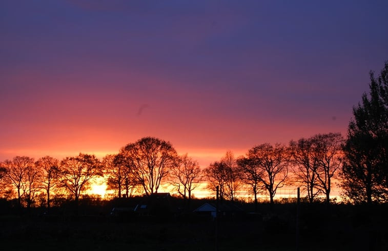 Natuurhuisje in Vledderveen