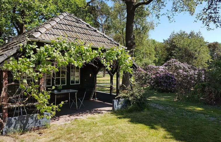 Natuurhuisje in Holten