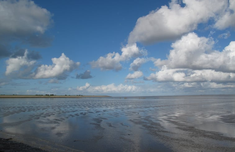 Natuurhuisje in Moddergat