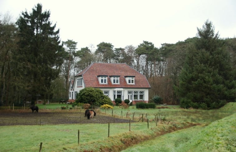 Natuurhuisje in Roden