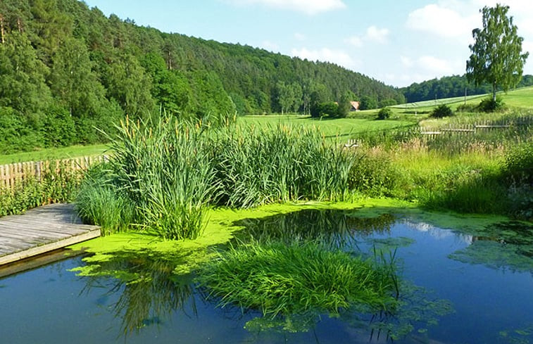 Natuurhuisje in Waldeck