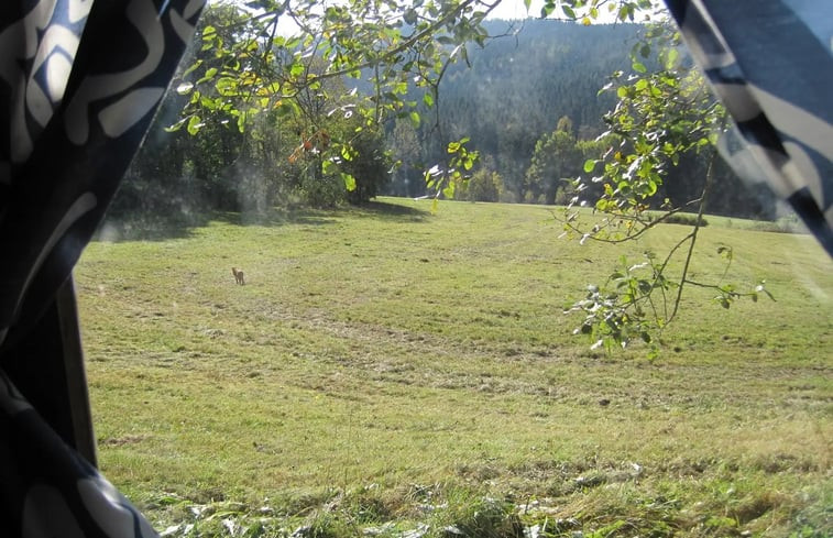 Natuurhuisje in Bischofsgrün