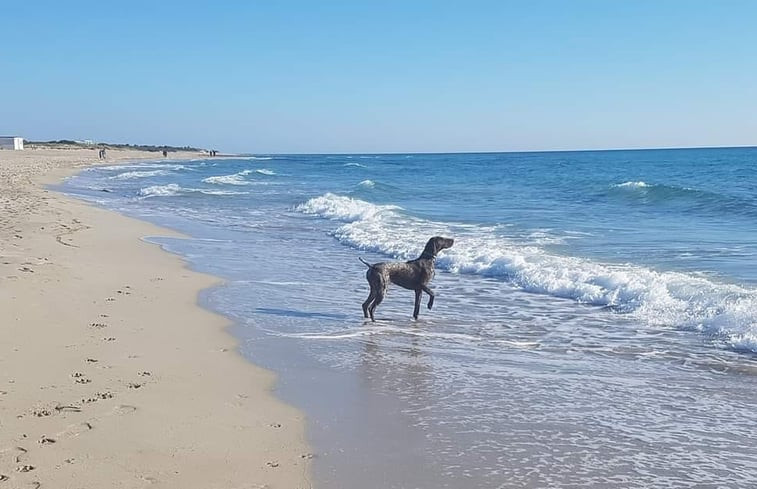 Natuurhuisje in Marina di Ginosa