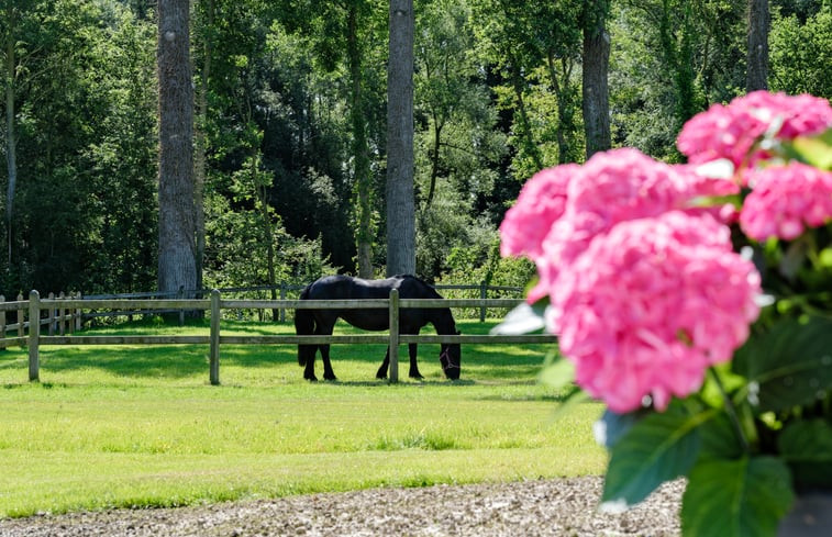 Natuurhuisje in Lennik