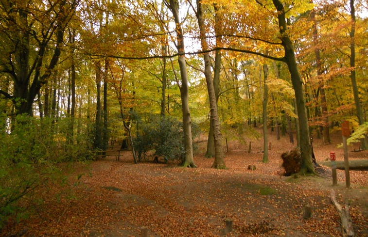 Natuurhuisje in Vasse