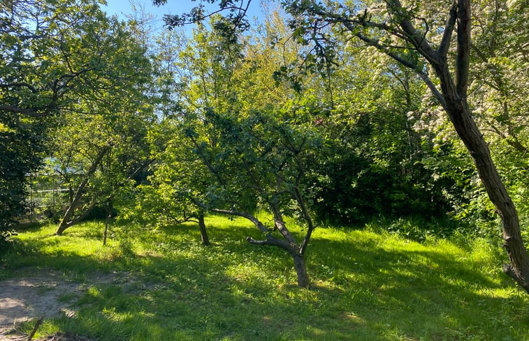 Natuurhuisje in De Koog