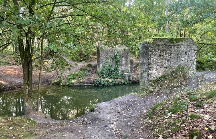 Natuurhuisje in Lommel