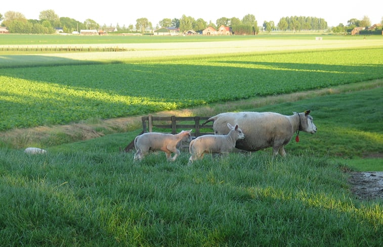 Natuurhuisje in Nieuwveen