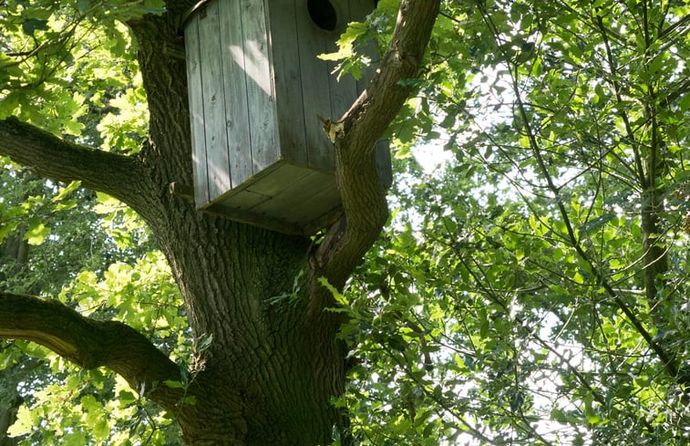 Natuurhuisje in Winterswijk Woold