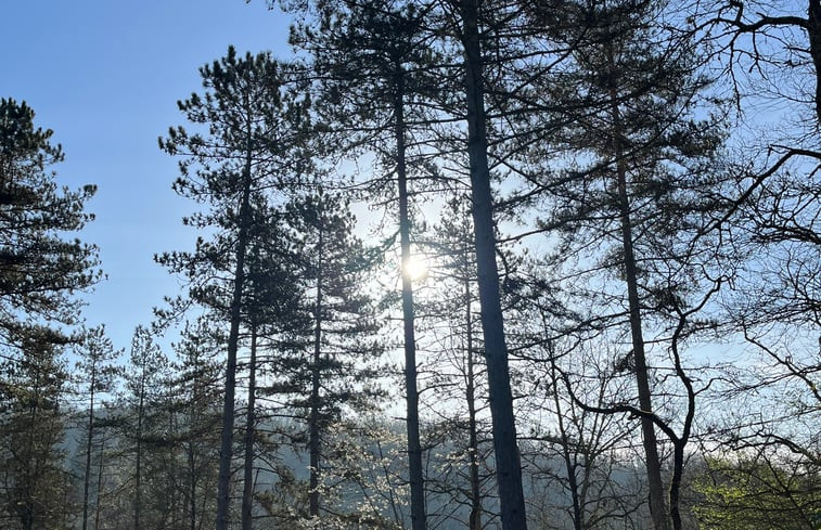 Natuurhuisje in Puy L&apos;évêque