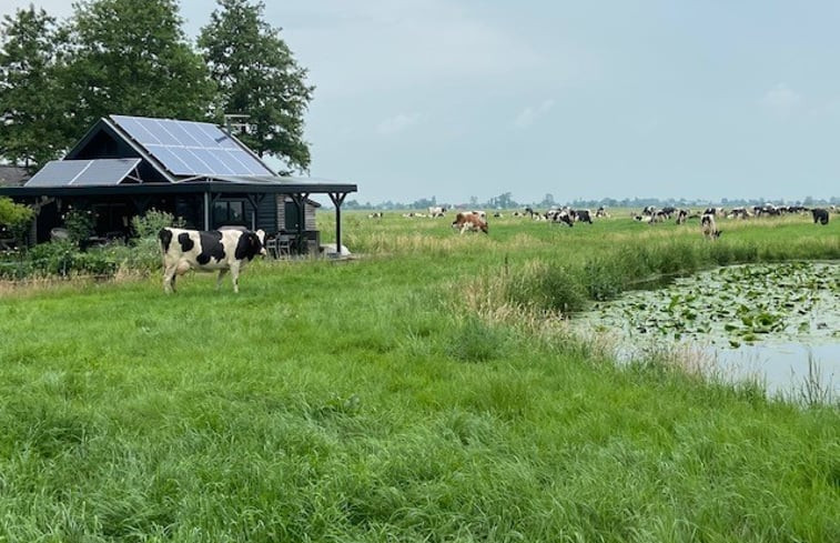 Natuurhuisje in Bergambacht