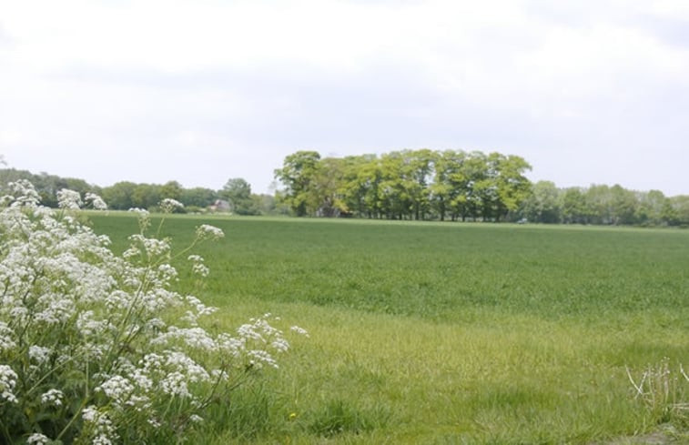 Natuurhuisje in Denekamp