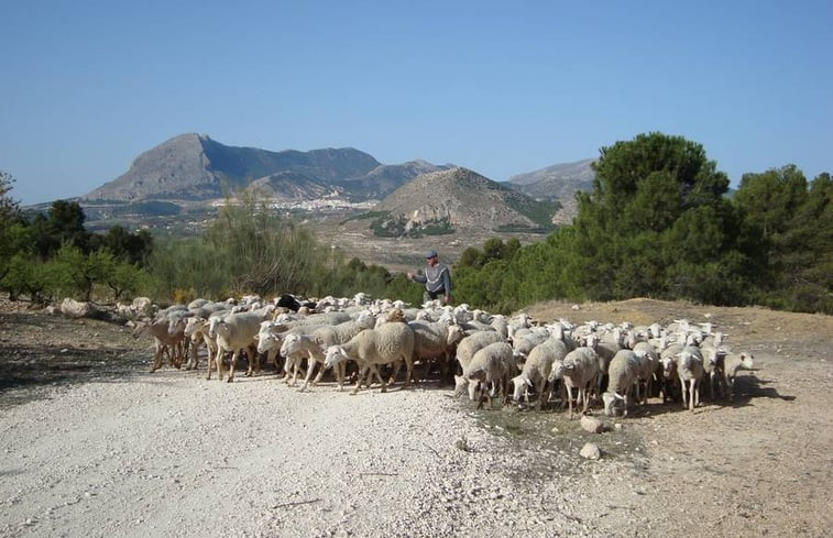 Natuurhuisje in Vélez-Blanco