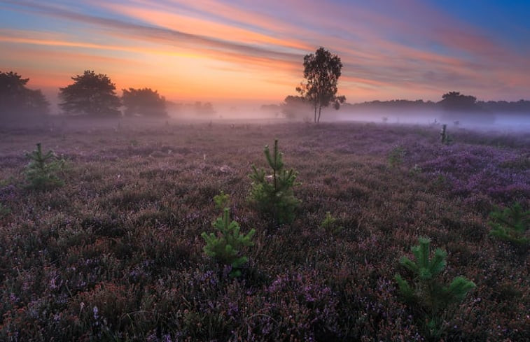 Natuurhuisje in Haaksbergen