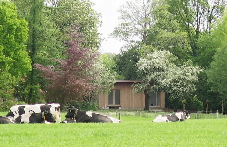 Natuurhuisje in Geesteren