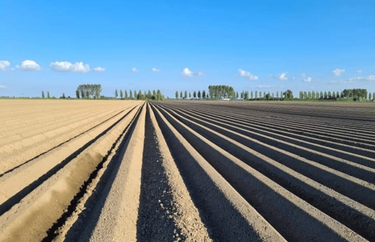 Natuurhuisje in Schoondijke