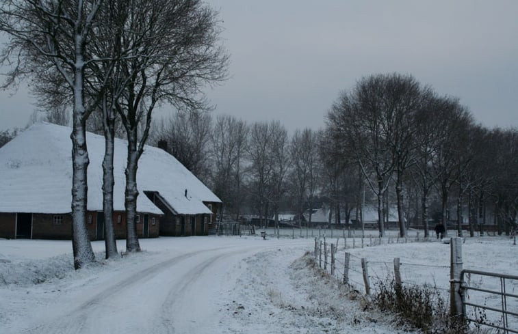 Natuurhuisje in Dwingeloo / Lhee