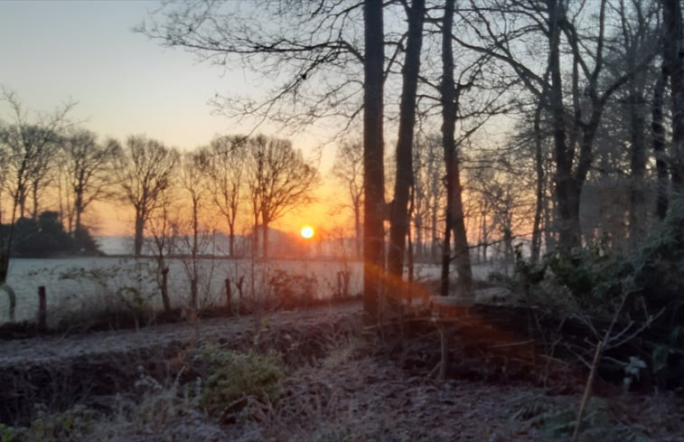 Natuurhuisje in Doldersum