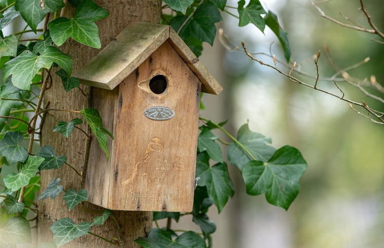 Natuurhuisje in Hierden