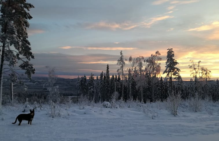 Natuurhuisje in Kullen / Nyhammar