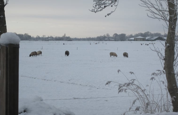 Natuurhuisje in Readtsjerk (Roodkerk)