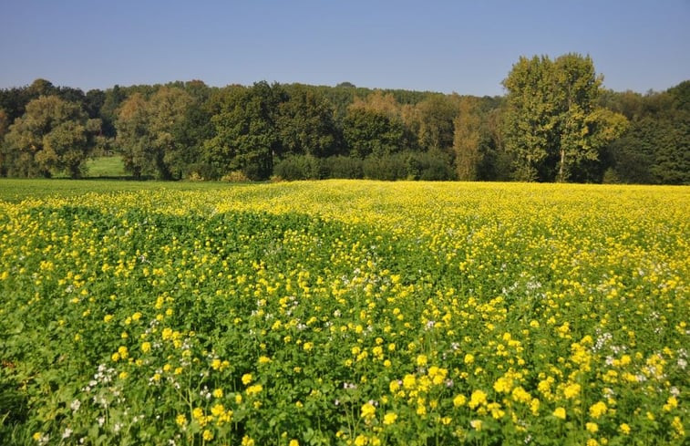 Natuurhuisje in BARVAUX/OURTHE