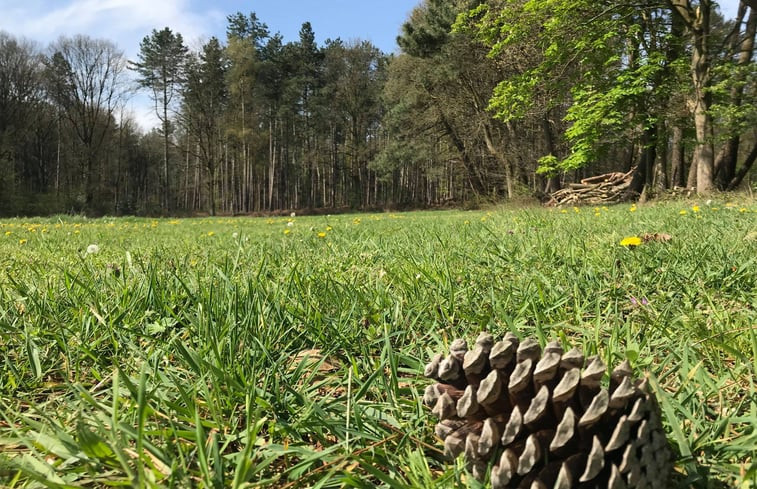 Natuurhuisje in Tessenderlo