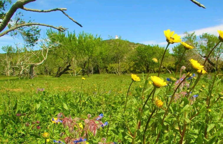 Natuurhuisje in Moncarapacho