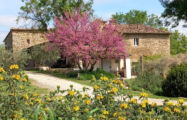 Natuurhuisje in casole d&apos;elsa