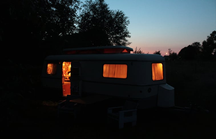 Natuurhuisje in Maasbommel