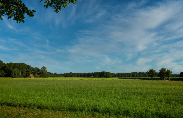 Natuurhuisje in Laren