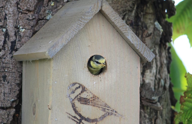 Natuurhuisje in IJsselmuiden