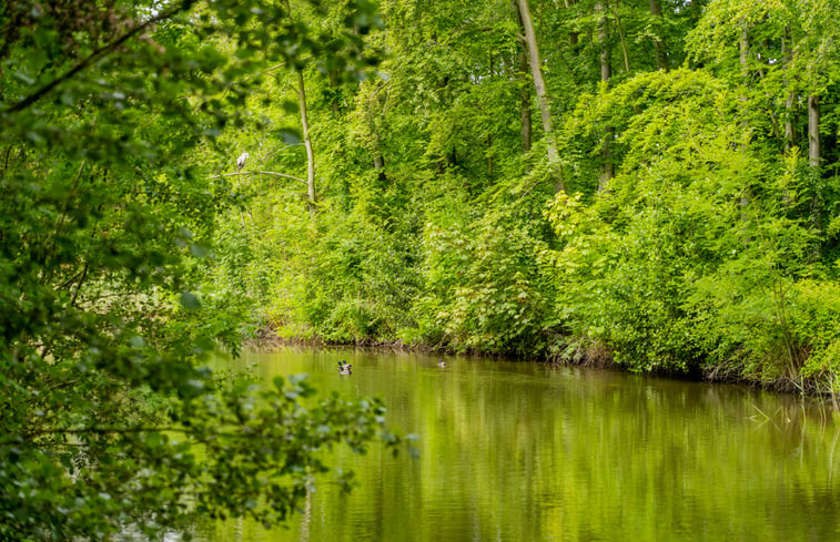 Natuurhuisje in Oostkapelle