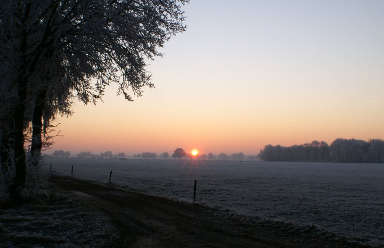 Natuurhuisje in baarschot gem hilvarenbeek