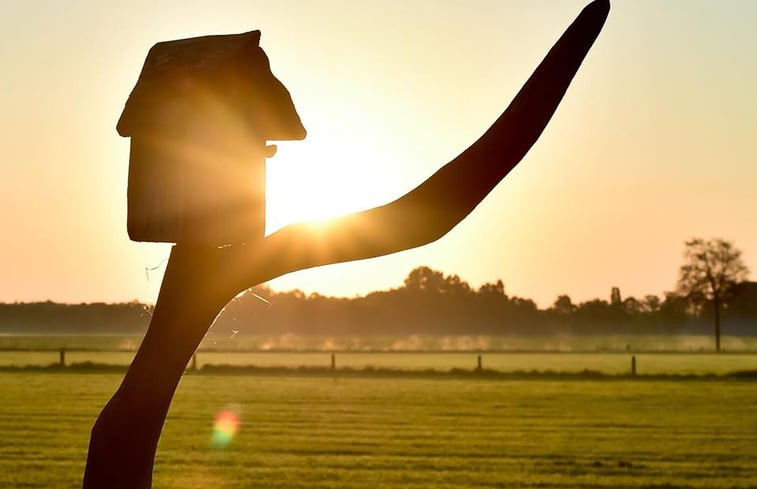 Natuurhuisje in Diepenheim