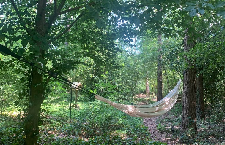 Natuurhuisje in Vledder