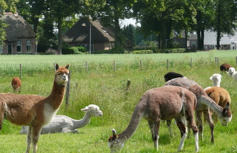 Natuurhuisje in Meppen