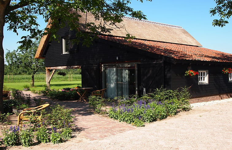 Natuurhuisje in Moergestel